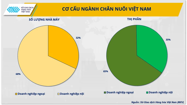 Ba giải pháp cho ngành chăn nuôi vững đà tăng trưởng năm 2024