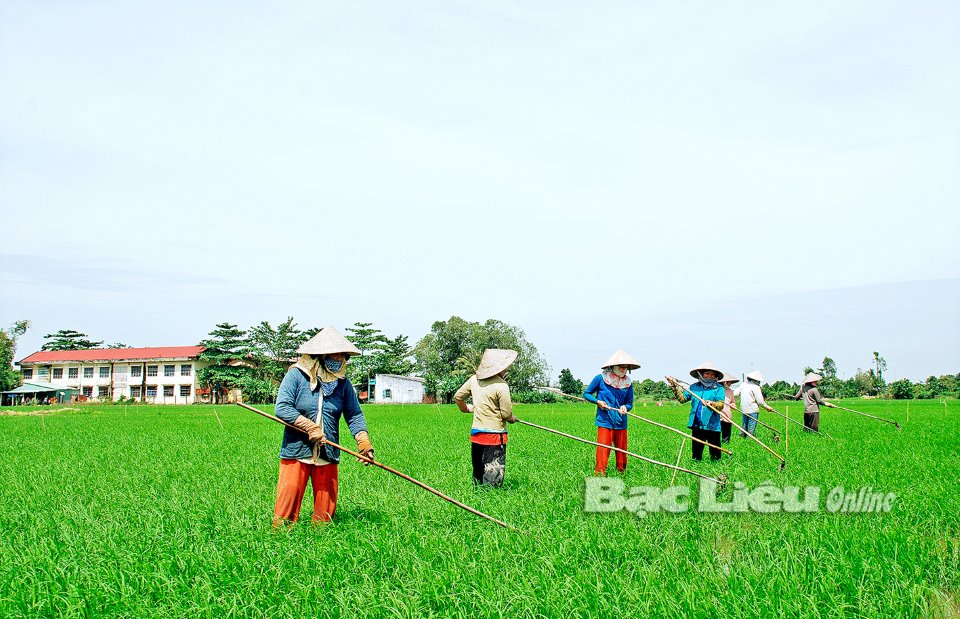 Vùng Đồng bằng sông Cửu Long: Nhiều khó khăn và thách thức cho phát triển bền vững