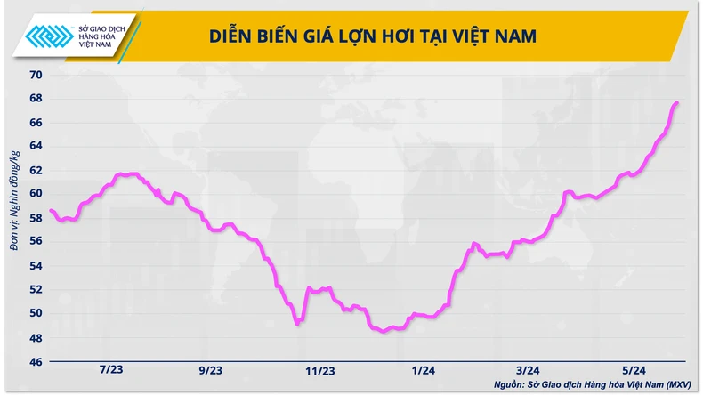 Ba giải pháp cho ngành chăn nuôi vững đà tăng trưởng năm 2024