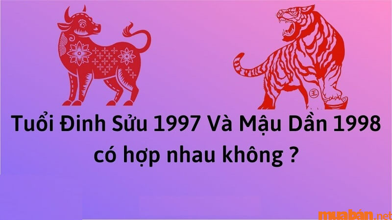 Giải đáp tình duyên Đinh Sửu Nam 1997 lấy vợ tuổi gì?