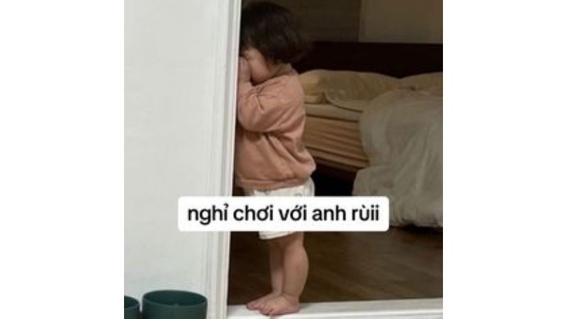 Tổng hợp 100 ảnh meme hài bựa, gây cười “bể bụng”