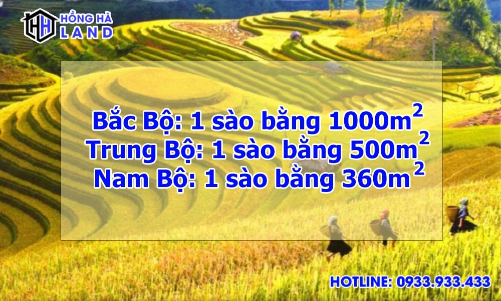 1ha bằng bao nhiêu m2 km2 ? | Quy đổi dễ dàng và chính xác