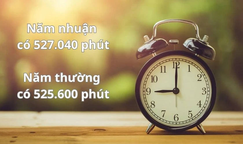 Giải đáp 1 năm có bao nhiêu giờ? Cách tính đơn giản