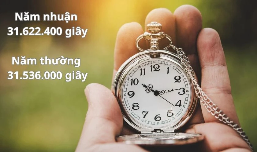 Giải đáp 1 năm có bao nhiêu giờ? Cách tính đơn giản