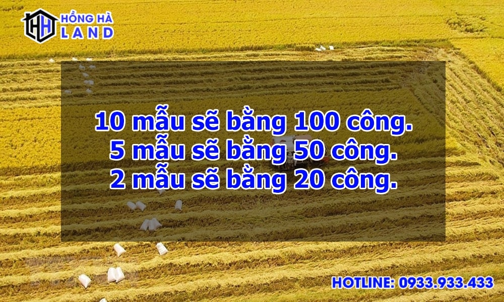 1ha bằng bao nhiêu m2 km2 ? | Quy đổi dễ dàng và chính xác