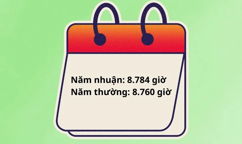 Giải đáp 1 năm có bao nhiêu giờ? Cách tính đơn giản