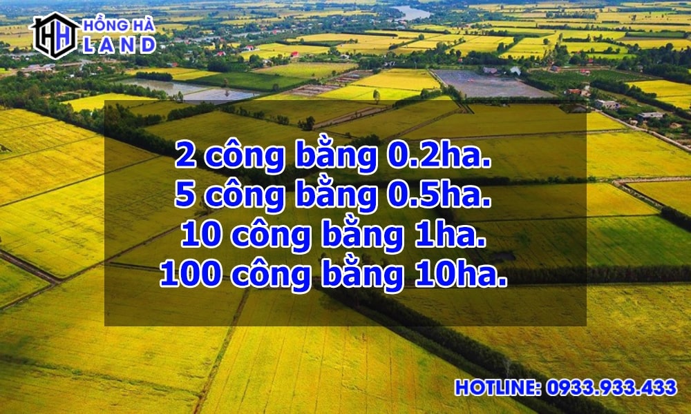 1ha bằng bao nhiêu m2 km2 ? | Quy đổi dễ dàng và chính xác