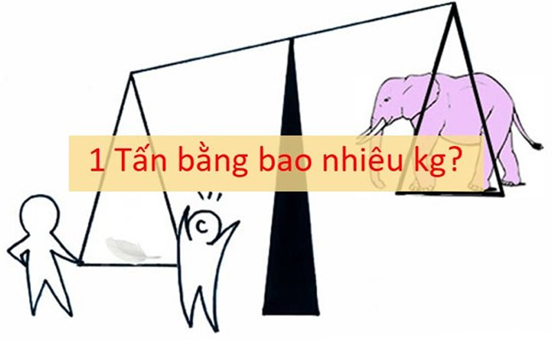 1 tấn bằng bao nhiêu kg, tạ, yến? Mách bạn công cụ đo nhanh nhất