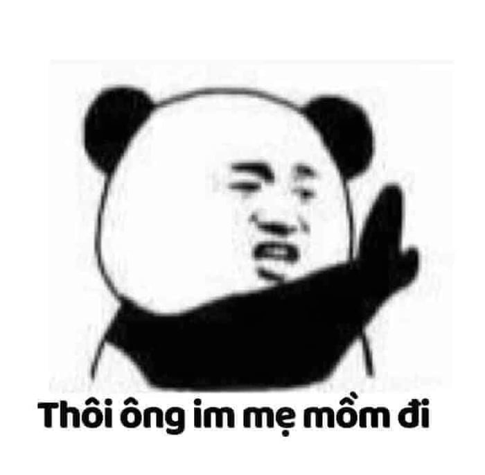 Bộ sưu tập meme không giới hạn, từ chối mọi thứ, và hết sức bựa