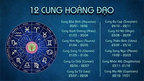 Người sinh ngày 20 tháng 11 thuộc cung gì?