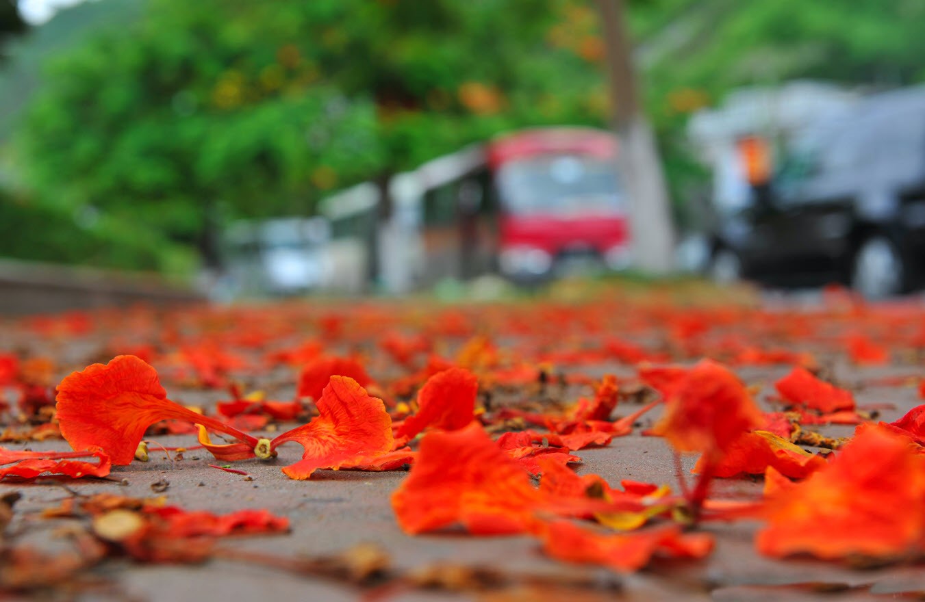 Tại sao lại có bốn mùa trong năm?