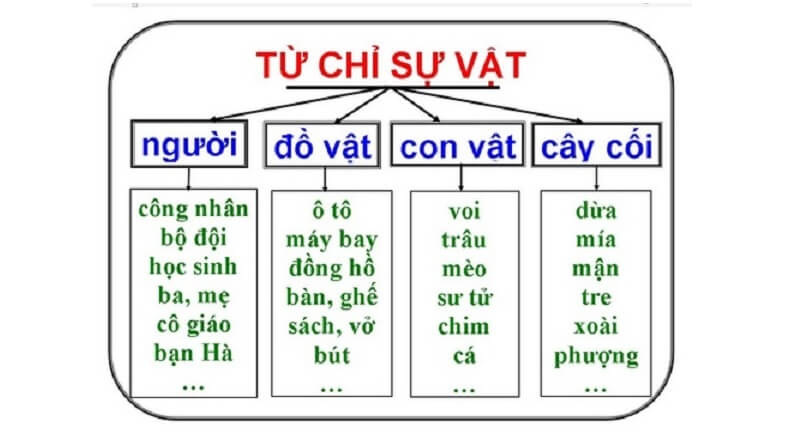 Từ chỉ sự vật lớp 2 là gì? Tất cả kiến thức từ chỉ sự vật tiếng Việt lớp 2