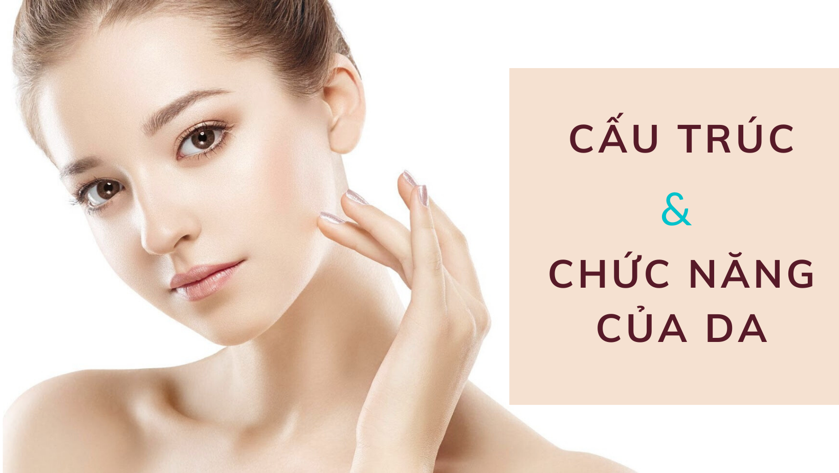 Cấu trúc & Chức năng của da