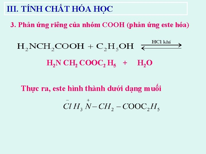 Amino Axit Là Gì? Tính Chất Hóa Học, Công Thức Cấu Tạo & Bài Tập