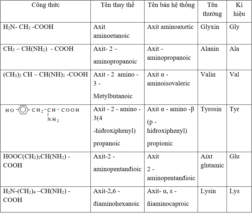 Lý thuyết về amino axit.</>