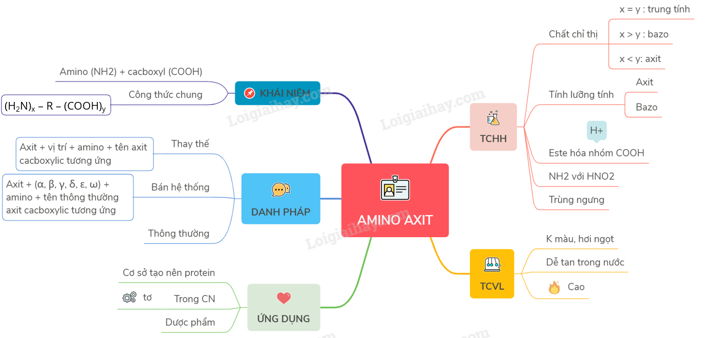 Lý thuyết về amino axit.</>