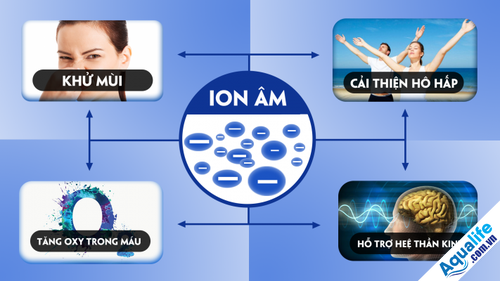 Anion là gì? Công dụng “thần thánh” không phải ai cũng biết