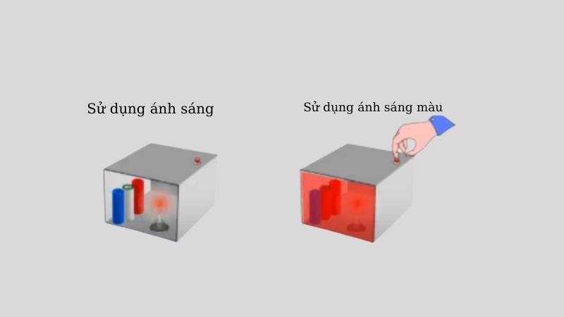 Ánh sáng trắng là gì? Tác dụng & cách phân biệt với ánh sáng màu