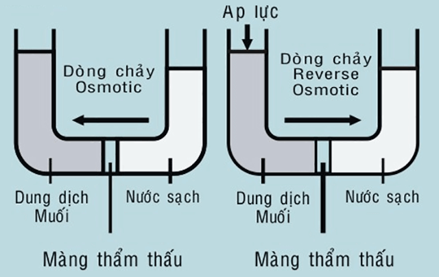 Áp suất thẩm thấu là gì ?