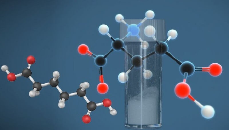 Axit Glutamic (C5H9O4N) là chất gì? Tính chất, Ứng dụng