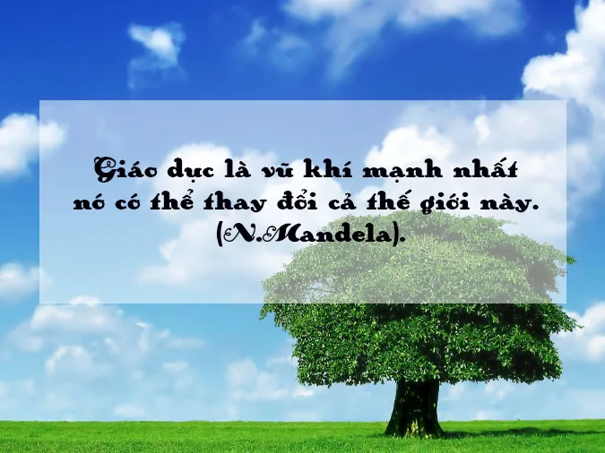 Giải thích ý nghĩa câu thành ngữ ‘ăn vóc học hay’ có nghĩa là gì?