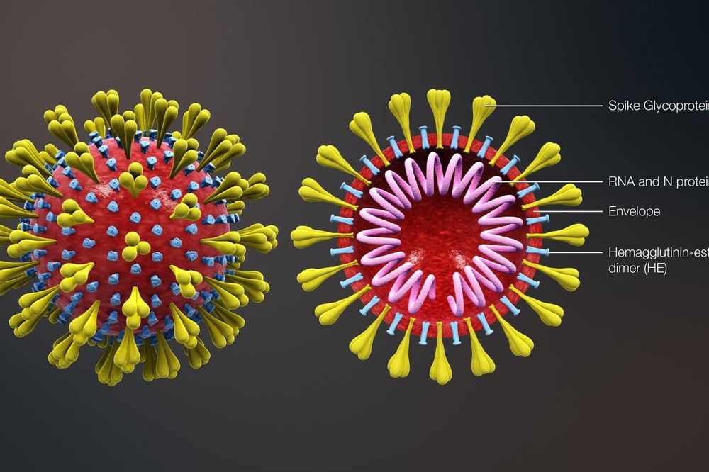 Virus là gì? Sự hình thành của virus?