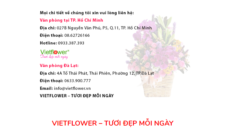 Hình Ảnh Hoa Chia Buồn Mang Nhiều Cảm Xúc