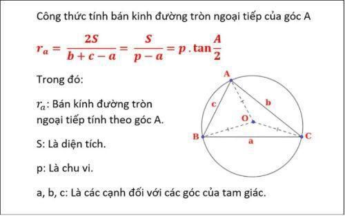 Đường Tròn Ngoại Tiếp Tam Giác & Những Kiến Thức Cần Biết