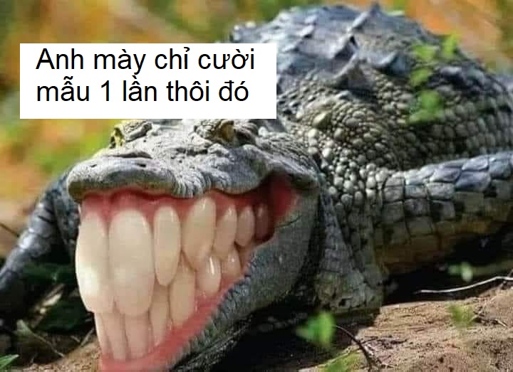 Tổng hợp 111+ meme cười đểu, vui nhộn, cười chảy nước mắt