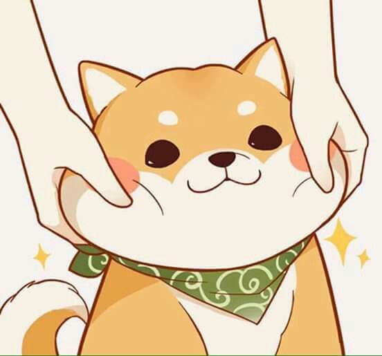 Tổng hợp 30+ Ảnh avatar chó Shiba siêu cute ngộ nghĩnh