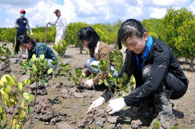 Rừng phòng hộ - Bảo vệ thiên nhiên và phát triển bền vững