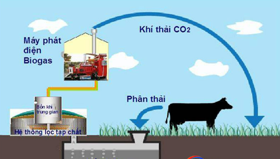 Chuyên Đề KHTN 8 Cánh Diều Bài 1 Biến Đổi Vật Lí Và Biến Đổi Hóa Học