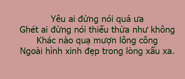 58 câu ca dao, tục ngữ, thành ngữ về cuộc sống ẩn chứa những bài học ý nghĩa