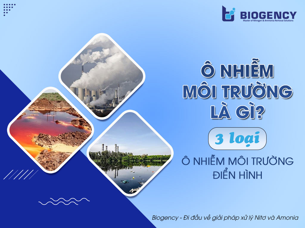 Ô nhiễm môi trường là gì? 3 loại ô nhiễm môi trường điển hình