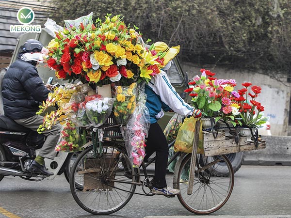 Phương tiện giao thông đường bộ gồm những loại nào