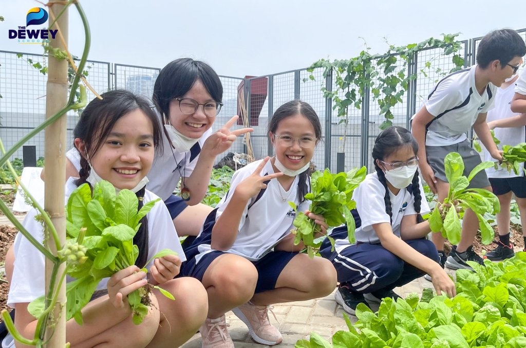 Lớp 6 học những môn gì? Chương trình mới có điểm gì khác biệt