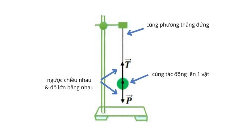 Trả lời: Hai lực cân bằng là gì? Cách xác định hai lực cân bằng