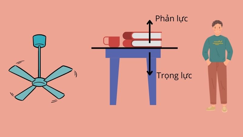 Trả lời: Hai lực cân bằng là gì? Cách xác định hai lực cân bằng