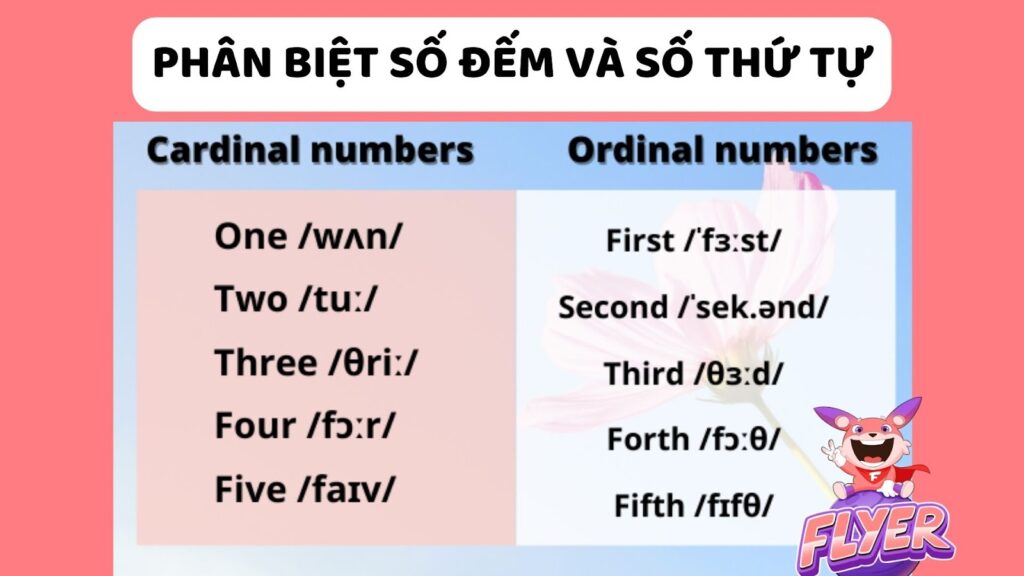 Số đếm tiếng Anh: Hướng dẫn chi tiết cách đọc, viết và phân biệt với số thứ tự