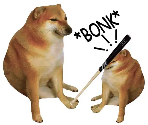 Meme chó shiba inu nổi tiếng CĐM là ai? Top ảnh chó shiba bựa hài hước