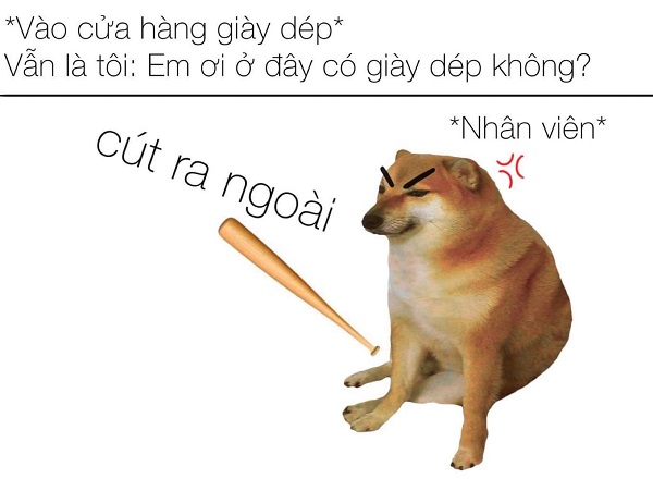 Meme chó shiba inu nổi tiếng CĐM là ai? Top ảnh chó shiba bựa hài hước