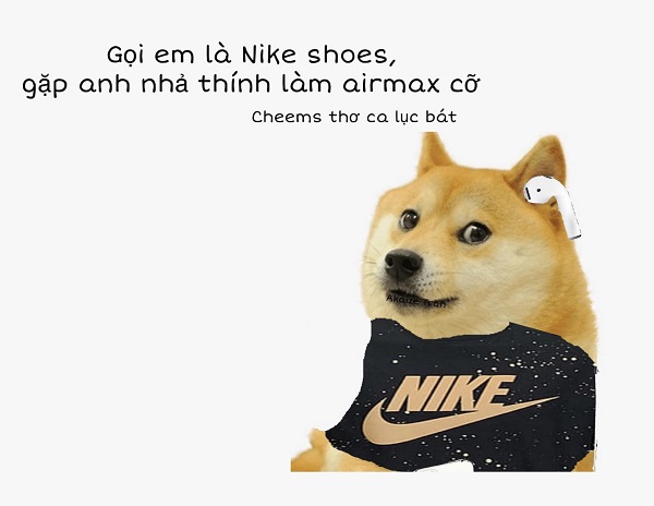 Meme chó shiba inu nổi tiếng CĐM là ai? Top ảnh chó shiba bựa hài hước