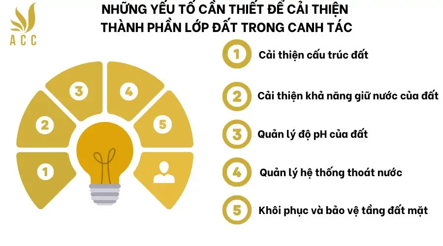 Các thành phần chính của lớp đất là gì?