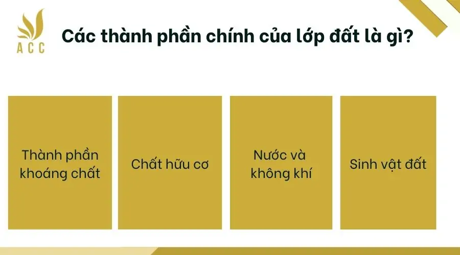 Các thành phần chính của lớp đất là gì?