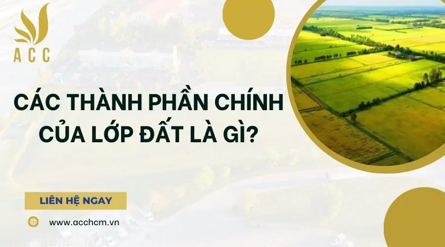 Các thành phần chính của lớp đất là gì?