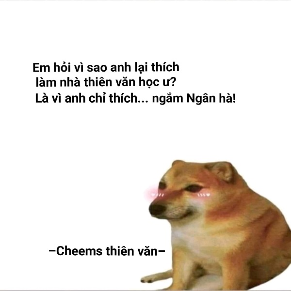 Meme chó shiba inu nổi tiếng CĐM là ai? Top ảnh chó shiba bựa hài hước