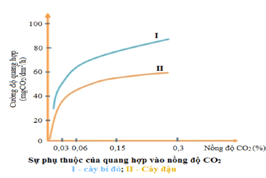 Ảnh Hưởng Của Các Nhân Tố Ngoại Cảnh Đến Quang Hợp Và Bài Tập Trắc Nghiệm