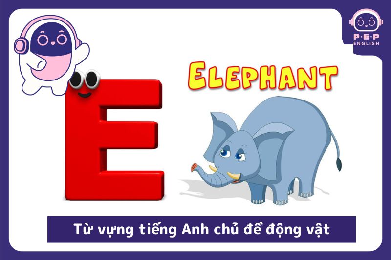 200+ những từ tiếng Anh bắt đầu bằng chữ E