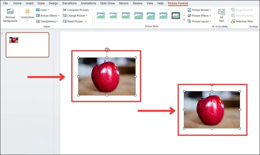 Hướng dẫn cách chèn ảnh vào PowerPoint nhanh, dễ thực hiện