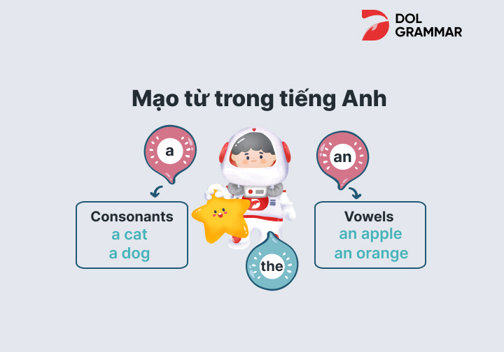 Mạo từ là gì? Cách dùng mạo từ a, an, the trong tiếng Anh